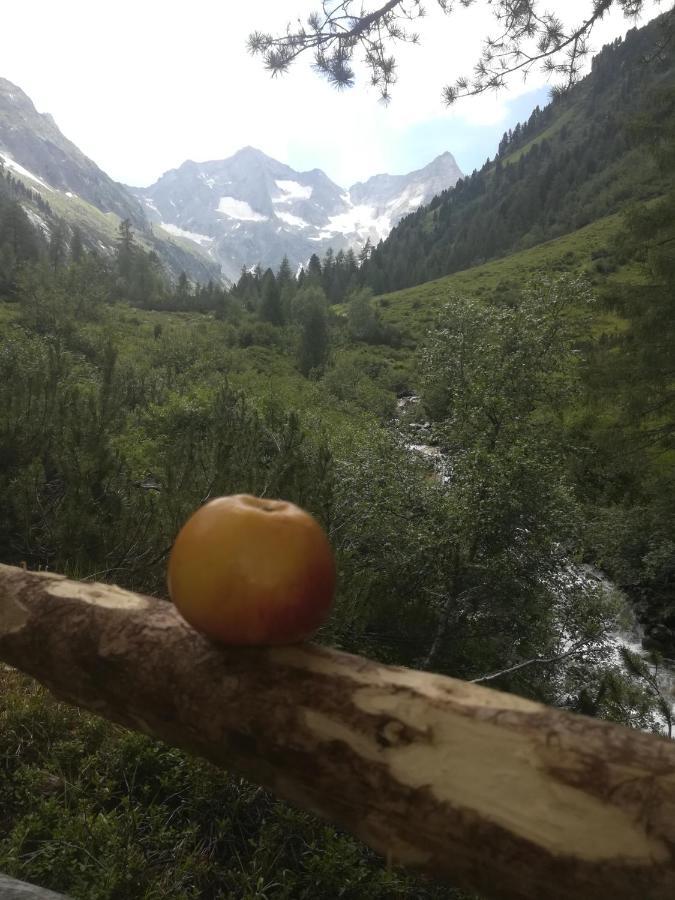 Apartmán Waldrast Finkenberg Exteriér fotografie